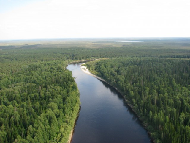 Реа Большой Юган