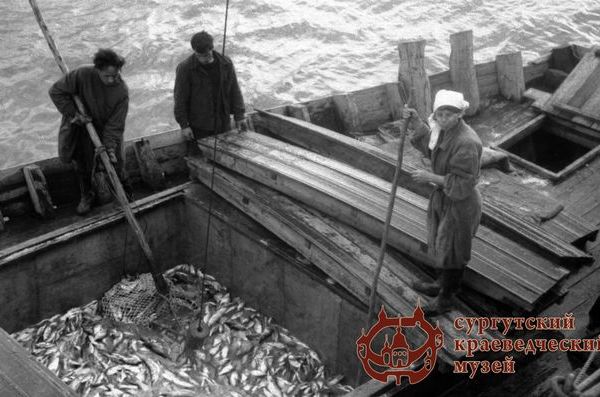 Выгрузка рыбы. Сургутский рыбокомбинат. 1966-1969 гг. Автор - А.Ф. Мясников. Источник: из фондов Сургутского краеведческого музея 